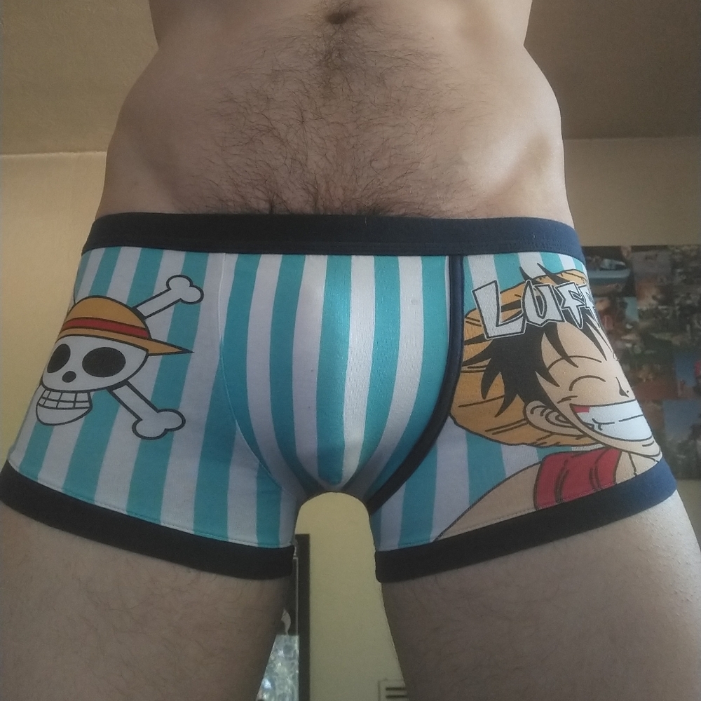 One piece briefs